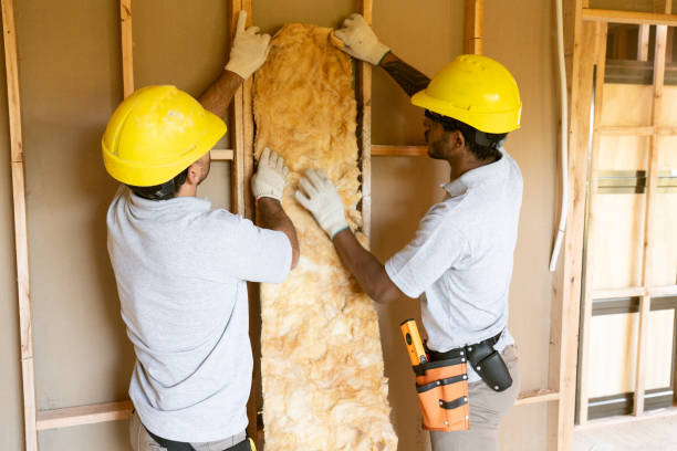 Best Insulation for New Construction  in Wheeler, TX