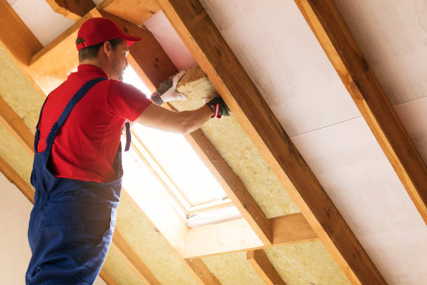 Best Blown-In Insulation  in Wheeler, TX